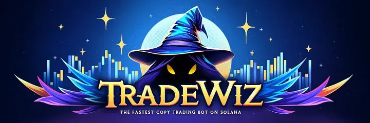 Qu'est-ce que TradeWiz?